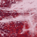 Abstract5