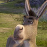 Shrek06